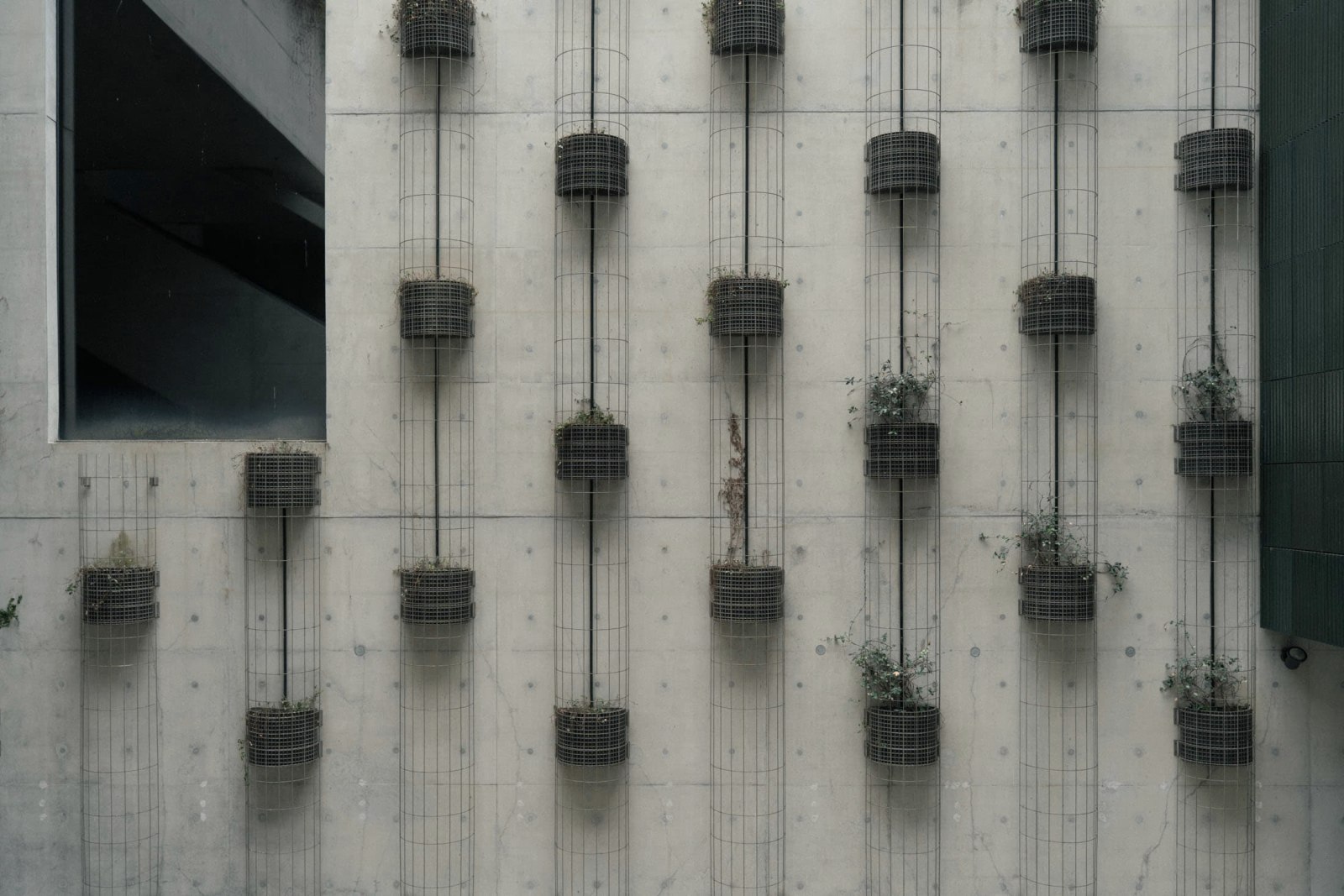 M+ Museum - Image 10