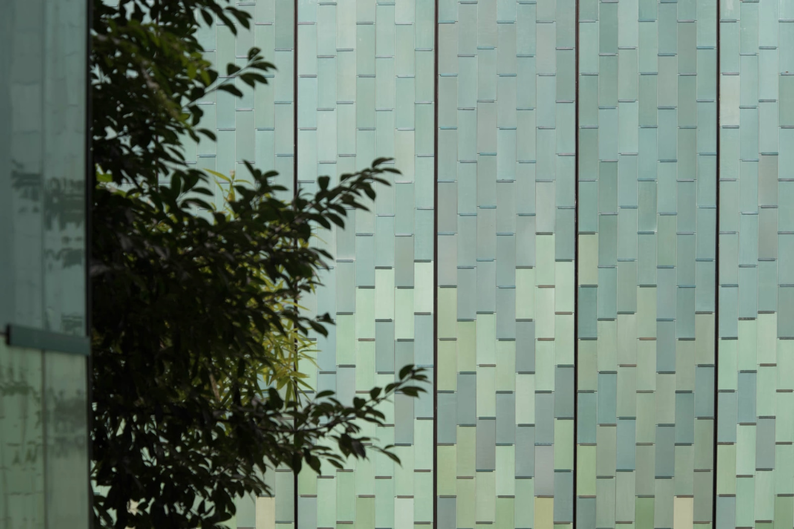 National Archives of Publications and Culture - Image 8