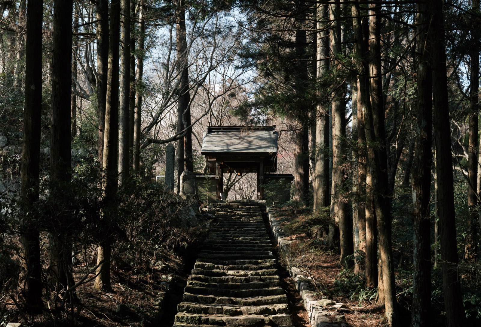 Northern Kyushu Temples - Image 12
