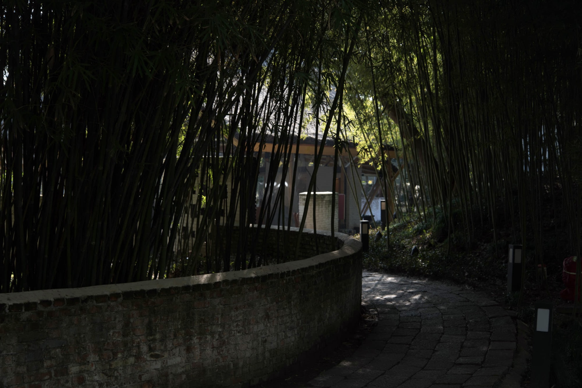 He Lou Xuan - Image 2