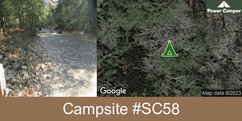 Pfeiffer Big Sur photo 5
