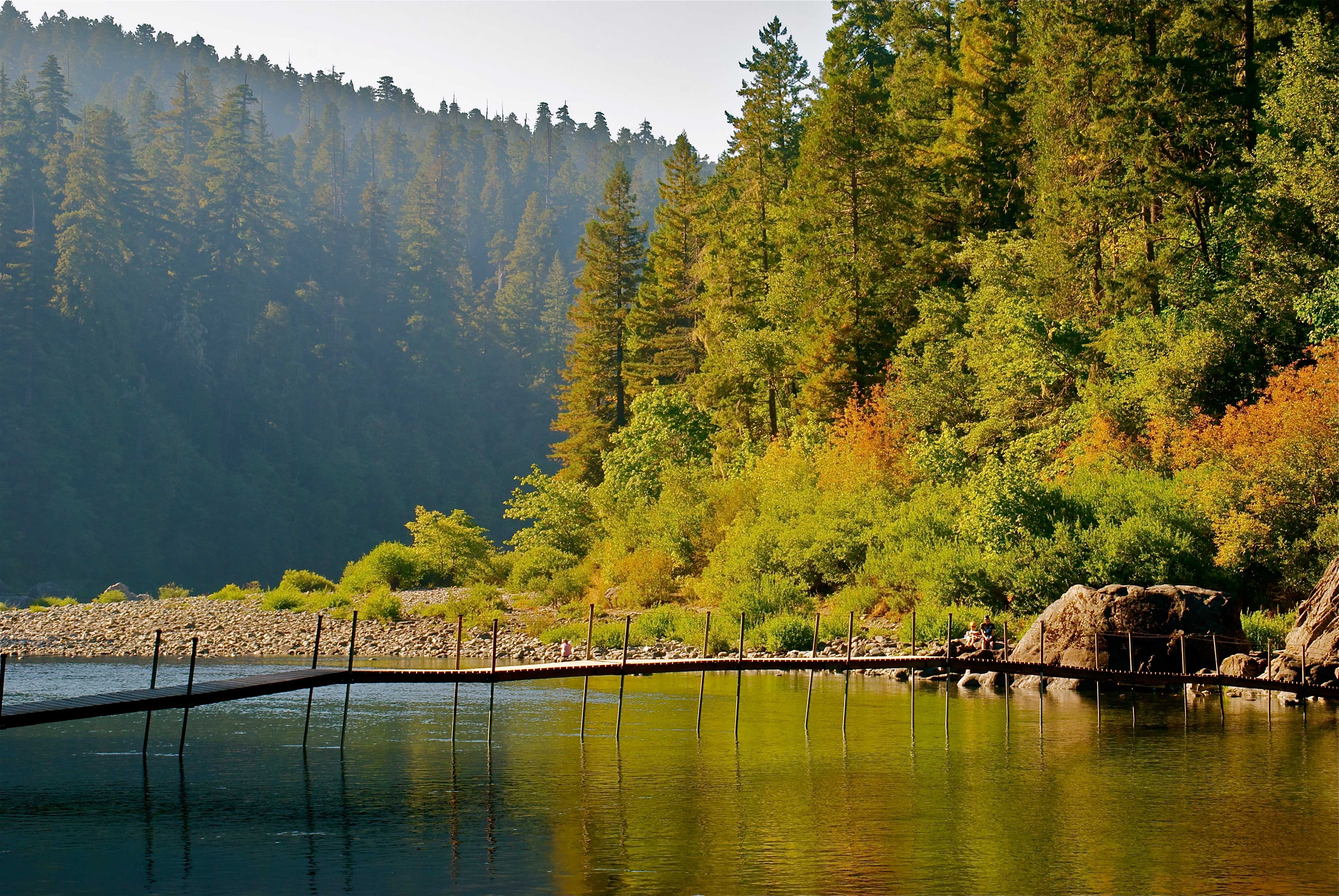 Jedediah Smith Redwoods Campground | All You Need to Know