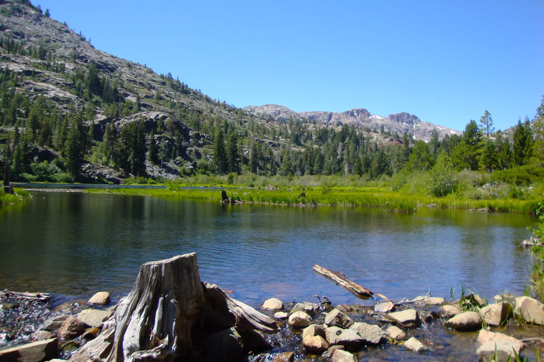 Fallen Leaf Campground All You Need to Know