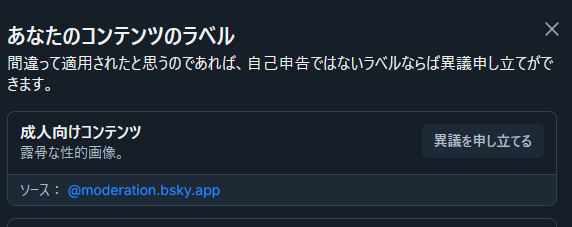成人向けコンテンツ