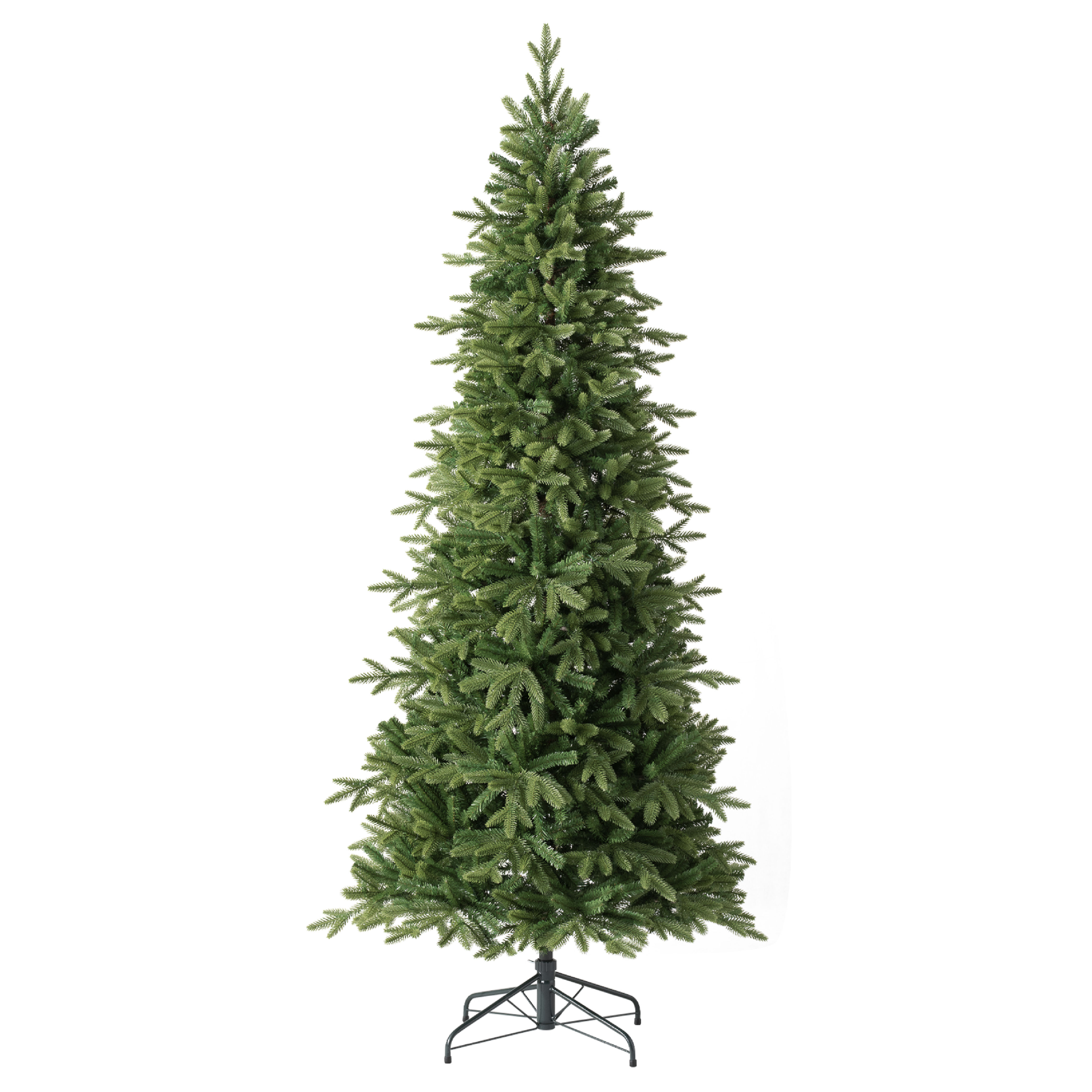 Kennedy Fir
