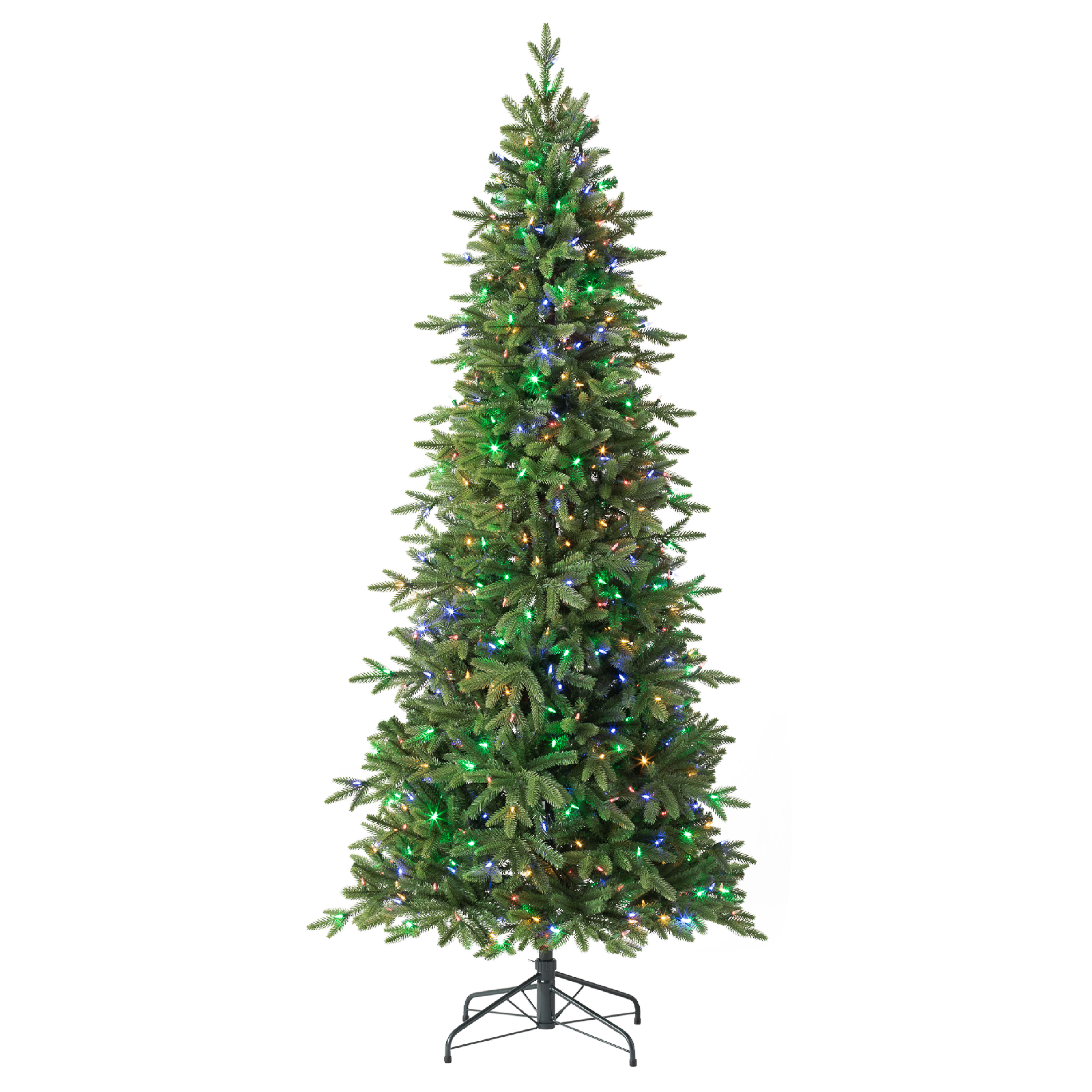 Kennedy Fir