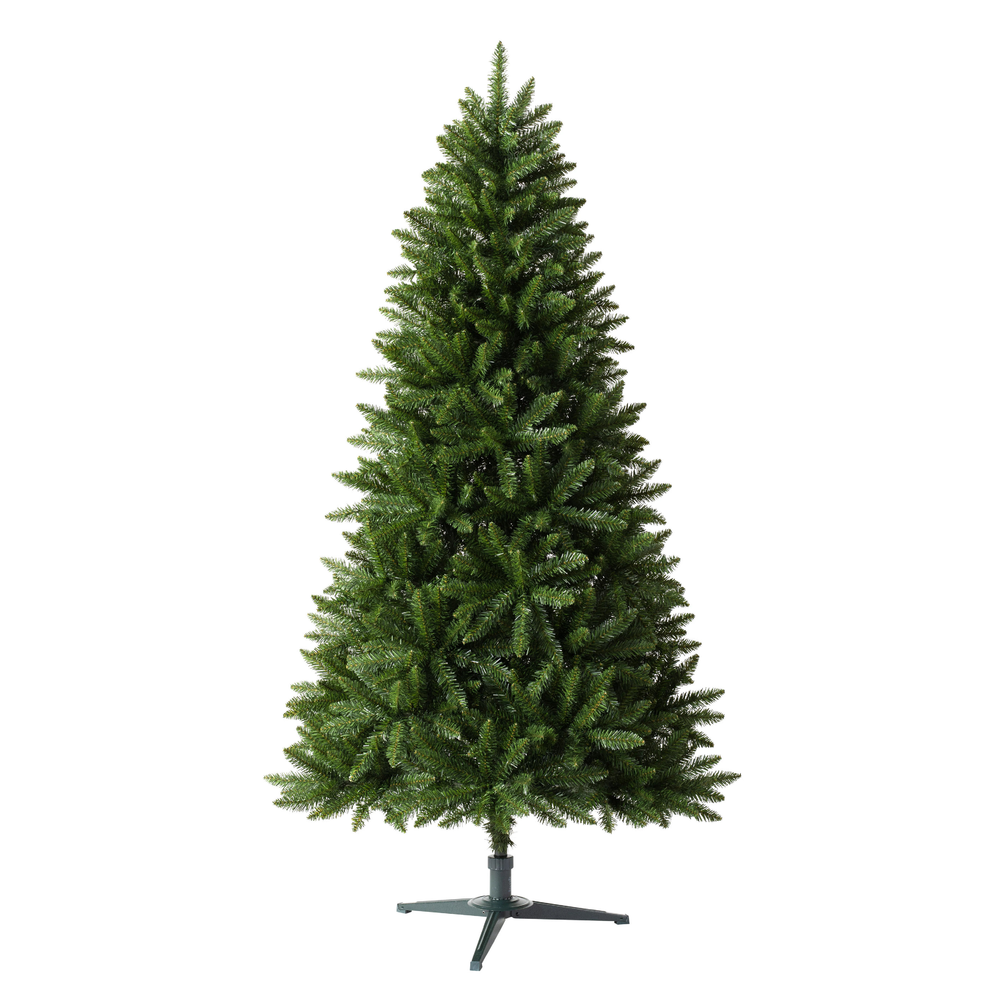 Fraser Pine
