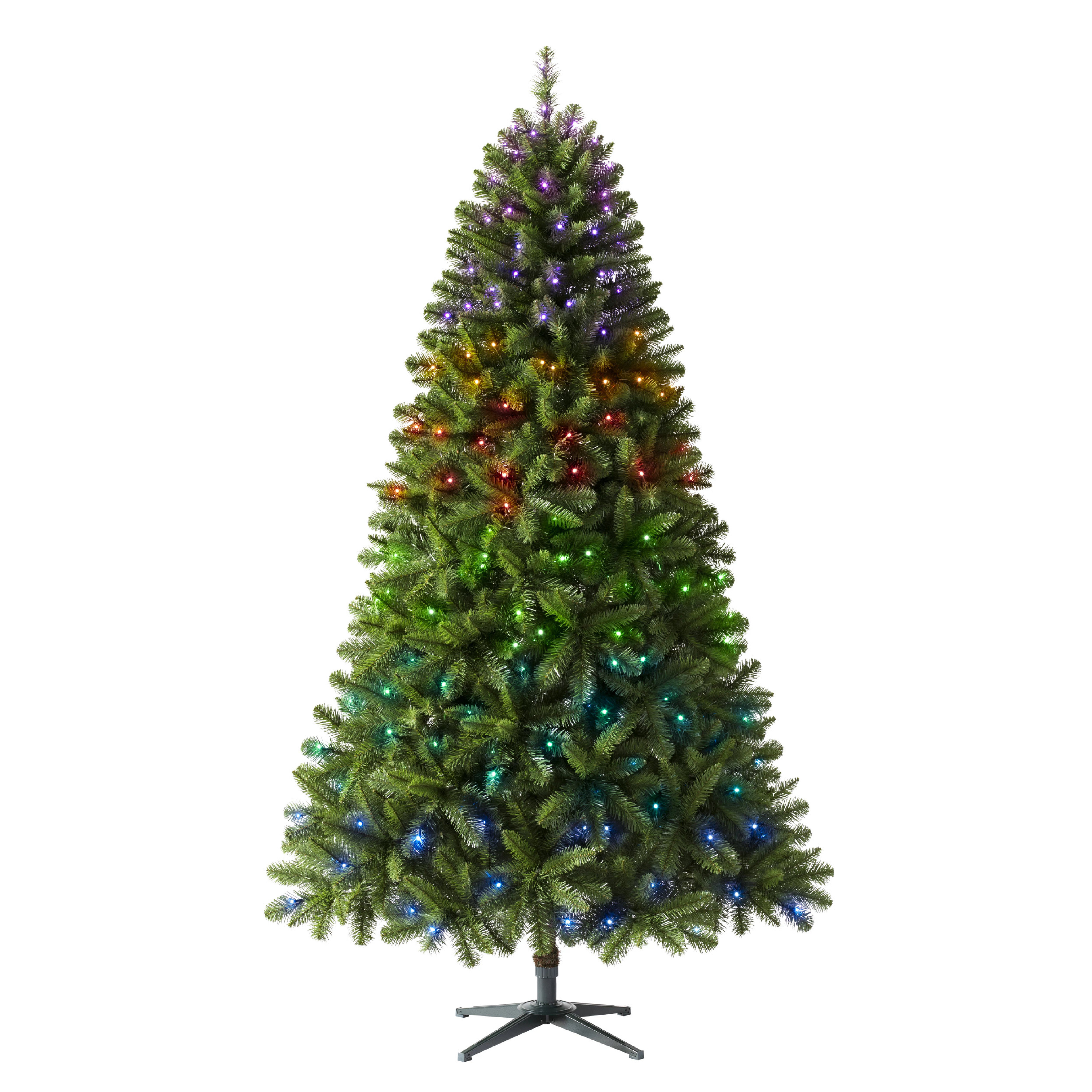 Virginia Fir