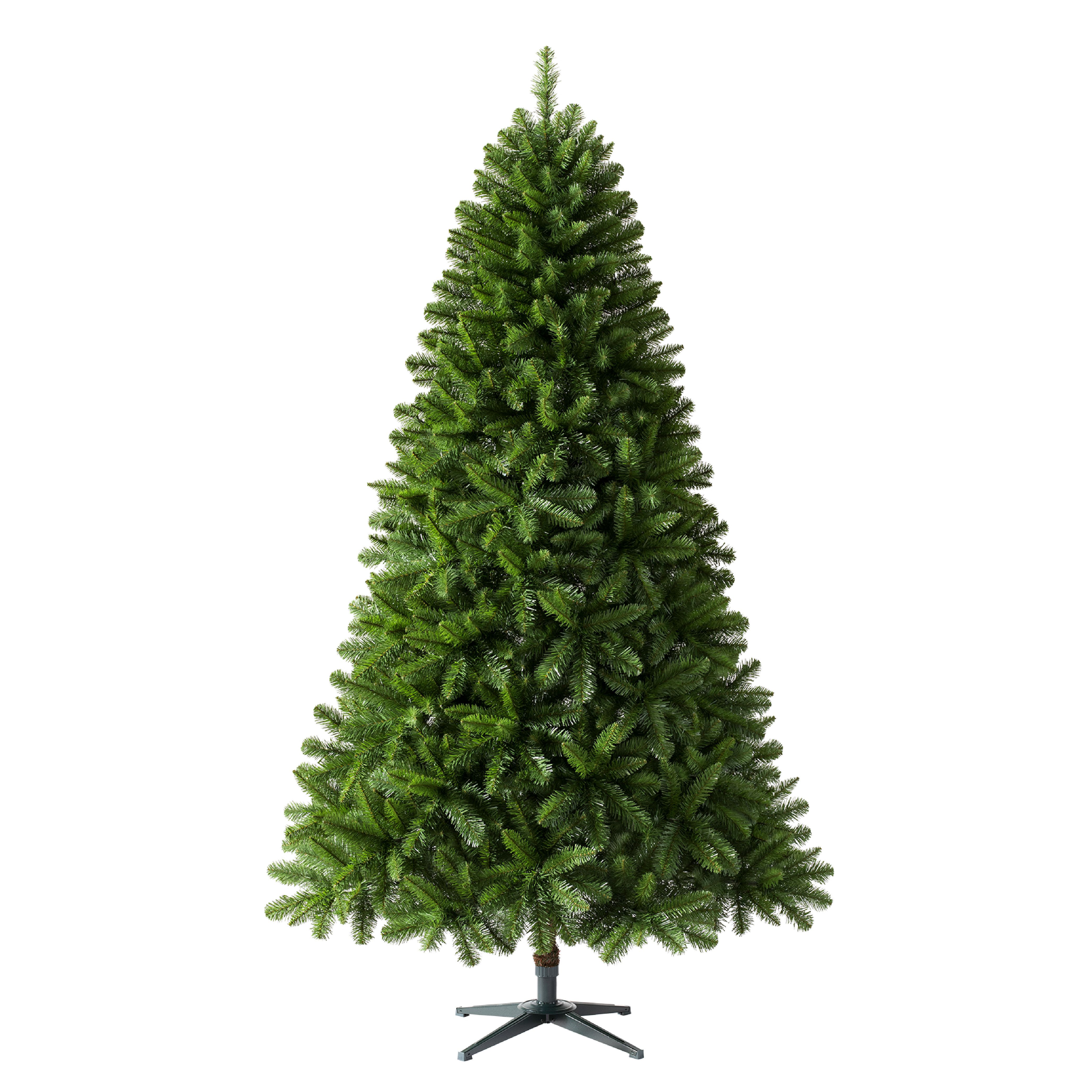 Virginia Fir