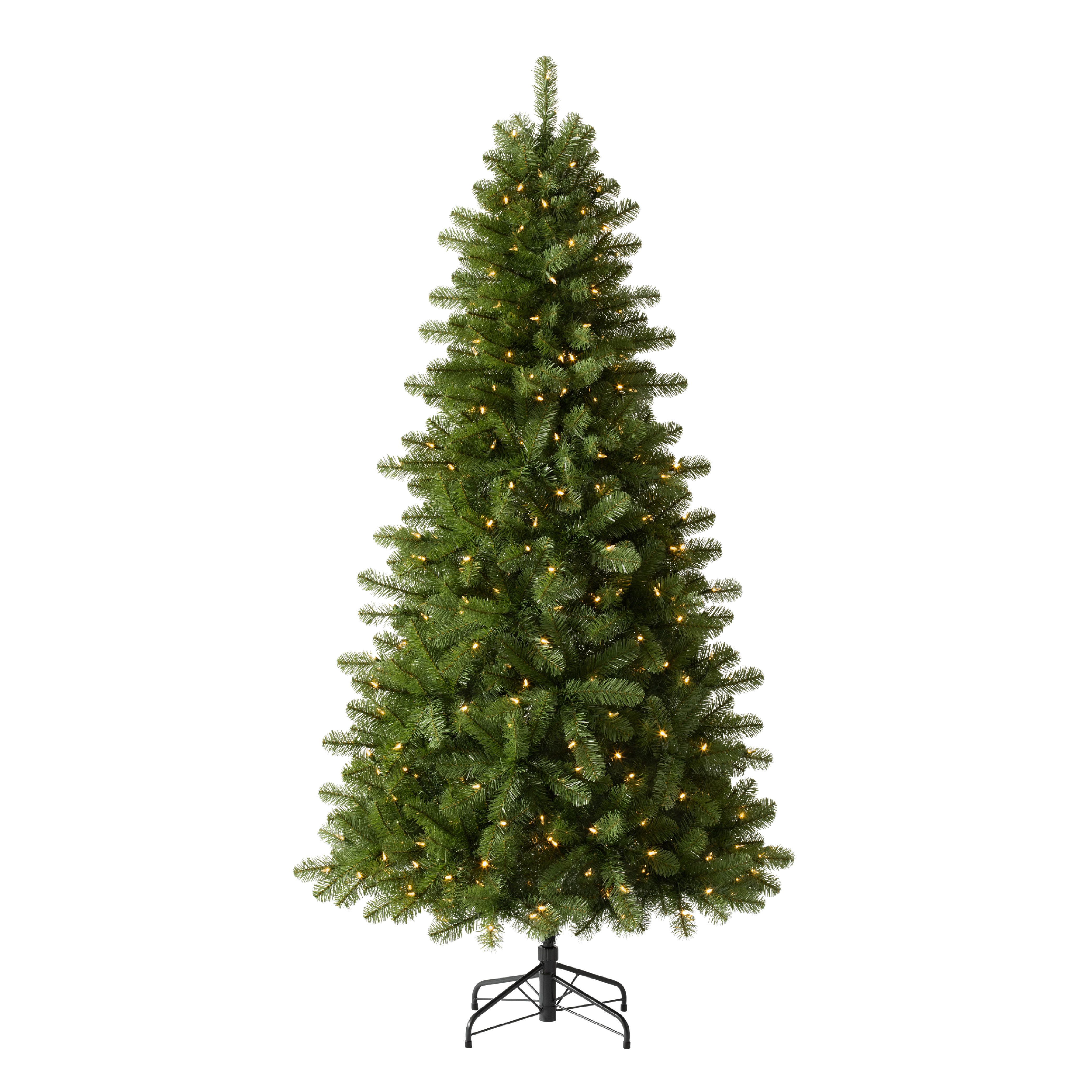 Grand Evergreen Fir