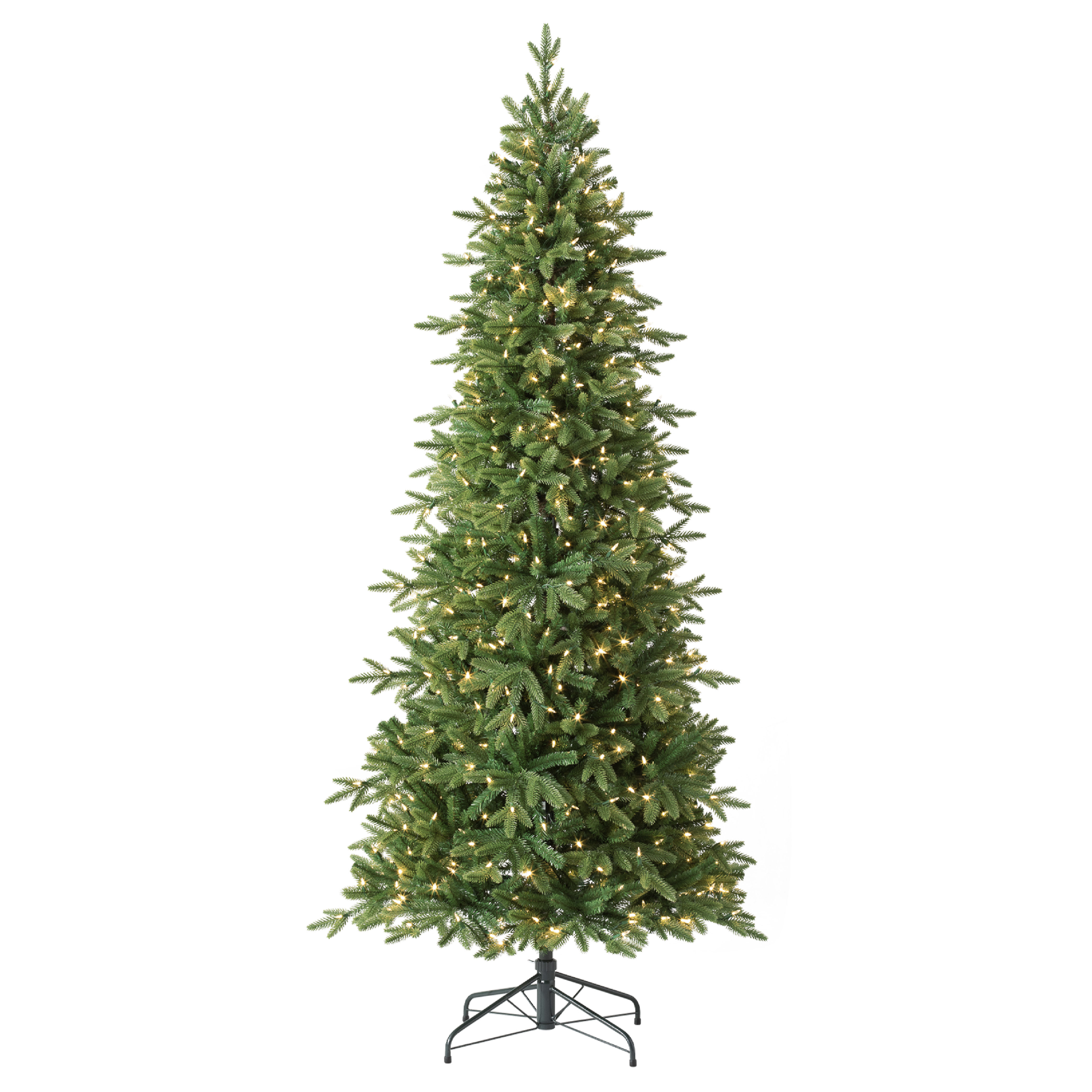 Kennedy Fir