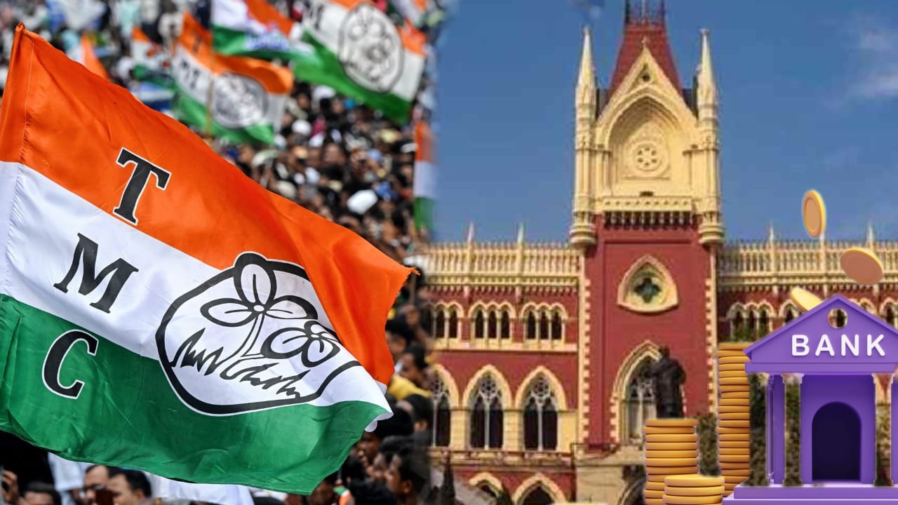 ব্যাঙ্ক অ্যাকাউন্ট ফ্রিজ মামলায় তৃণমূলকে আংশিক স্বস্তি, তিন অ্যাকাউন্টে সীমিত লেনদেনের অনুমতি