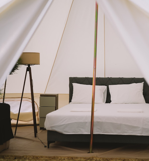 Camping pitch under shaded trees