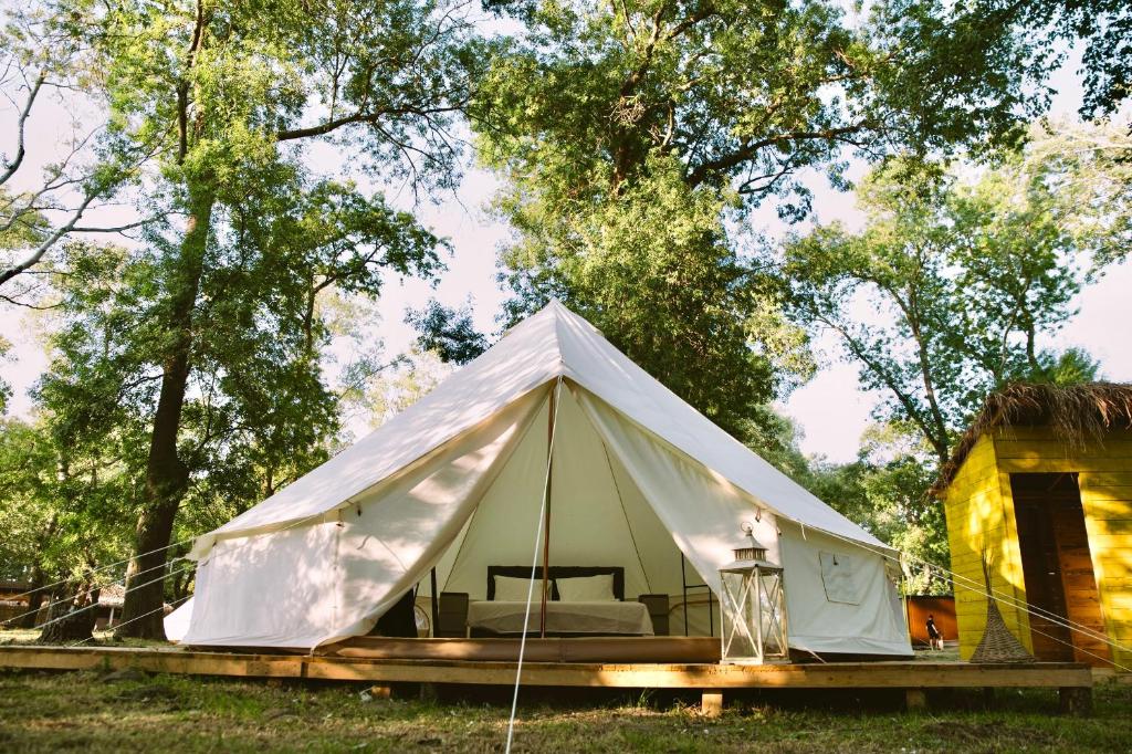 Bell tents under trees