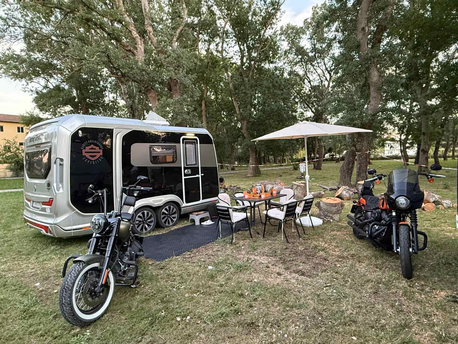 Camping pitch under shaded trees