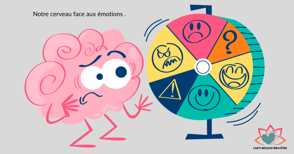 Notre cerveau face aux émotions .