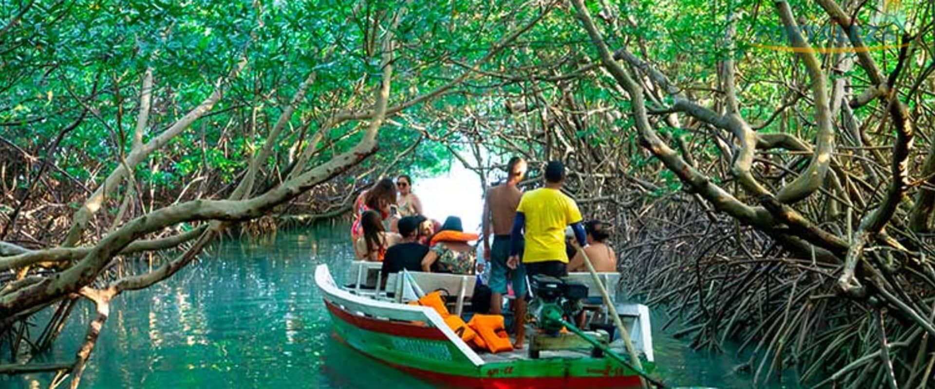 Passeio de Barco em Icaraizinho e Moitas
