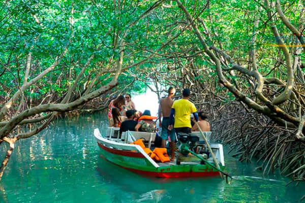 Passeio de Barco em Icaraizinho e Moitas