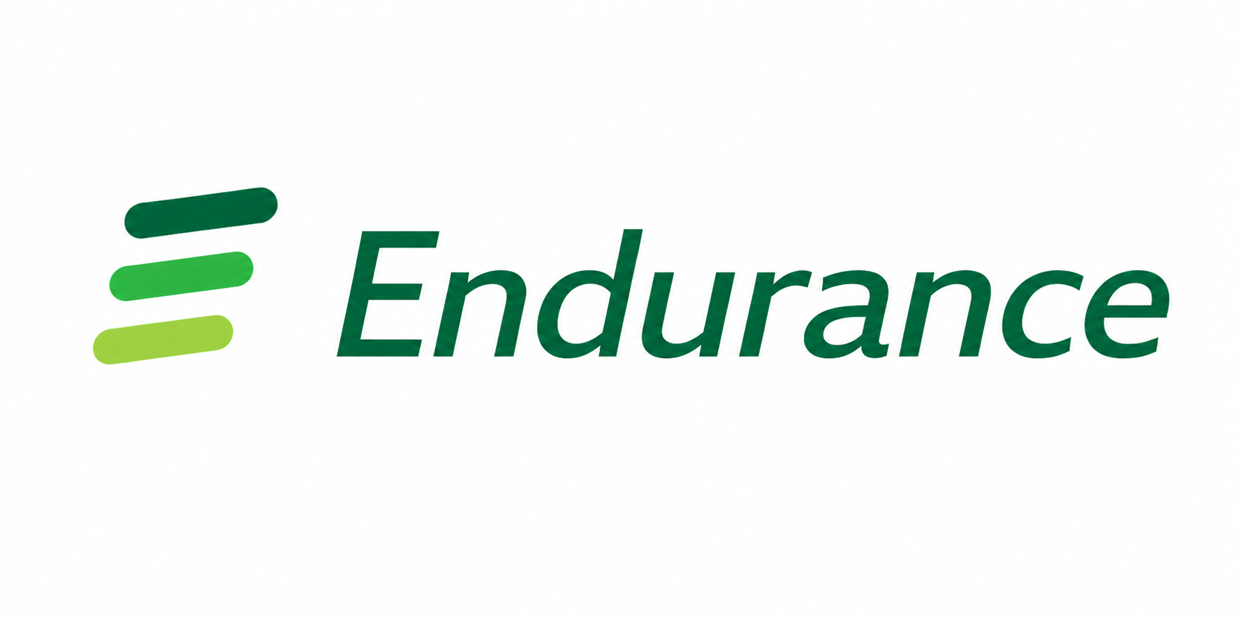 Logo Endurance