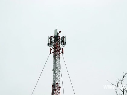 Компенсации за утрату: Новый механизм в Госдуме