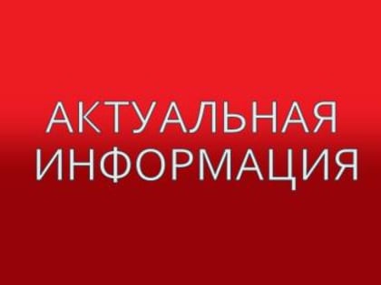 Особенности формирования пенсии для самозанятых граждан