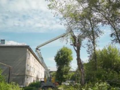 Чистота нашего города: важность заботы о родной земле