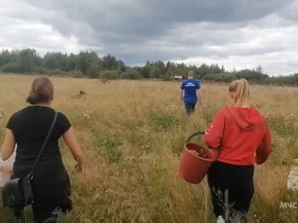 Спасение грибников в Заволжском районе