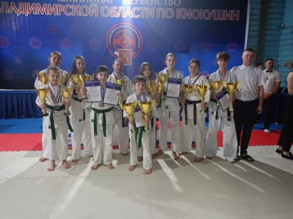 Кинешемские каратисты завоевали награды Чемпионата и Первенства Владимирской области