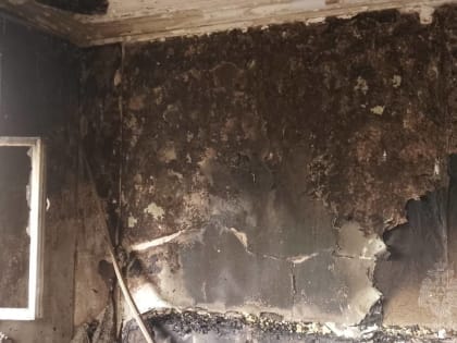 Пожары в Кинешме: поджоги на улицах Боборыкина и Алексеевской
