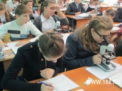 Сокращение школьного обучения: мнения населения региона