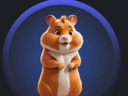 Криптовалютный бум в Иваново: как мемкоин Hamster Kombat изменил интерес к цифровым валютам