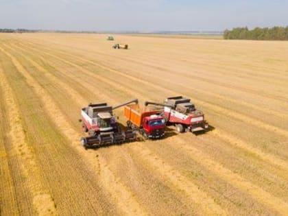 Уборка урожая в Ивановской области завершена