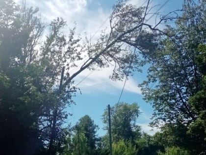 На Завокзальной поломало деревья и они висят и висят на проводах