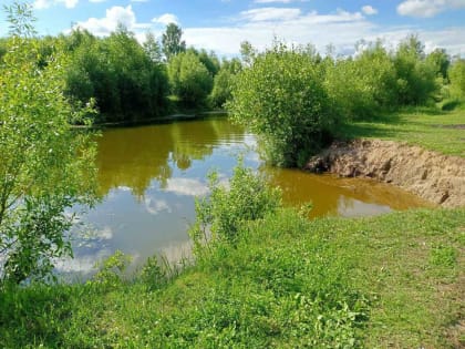 Возбуждено уголовное по факту гибели отца и его 9-летнего сына в пруду в Ивановской области