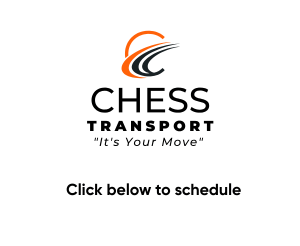 Elementor / Chess Transport Logo