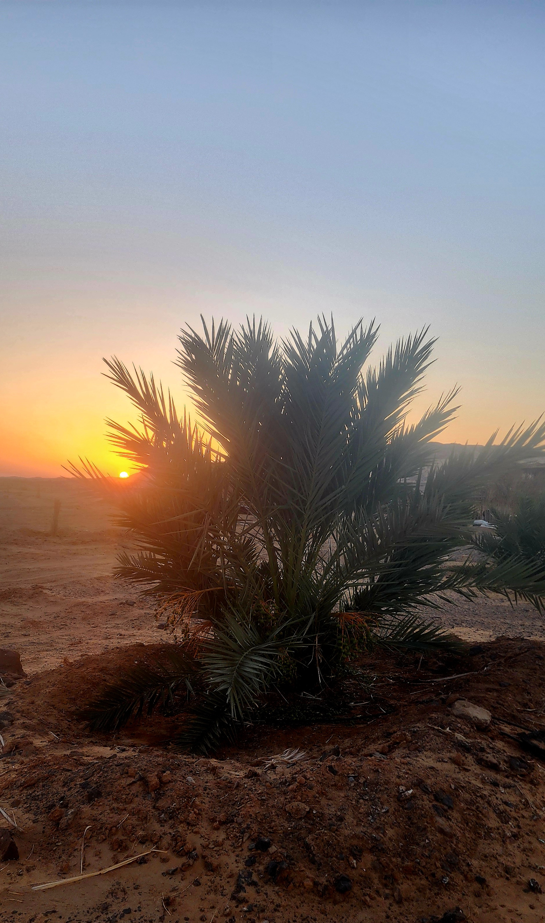 نظره عامة "مزارع قطوف "