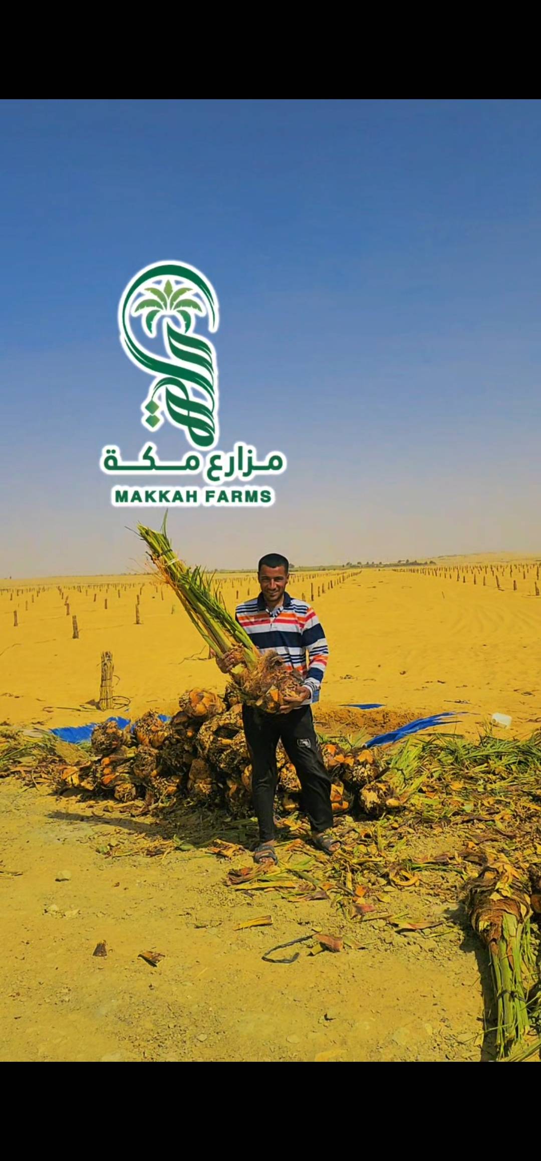 بفضل الله استمرار الزراعة 