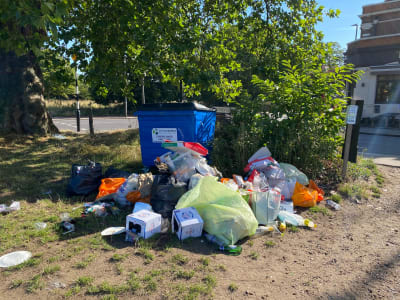 User submitted image for a litter pick event