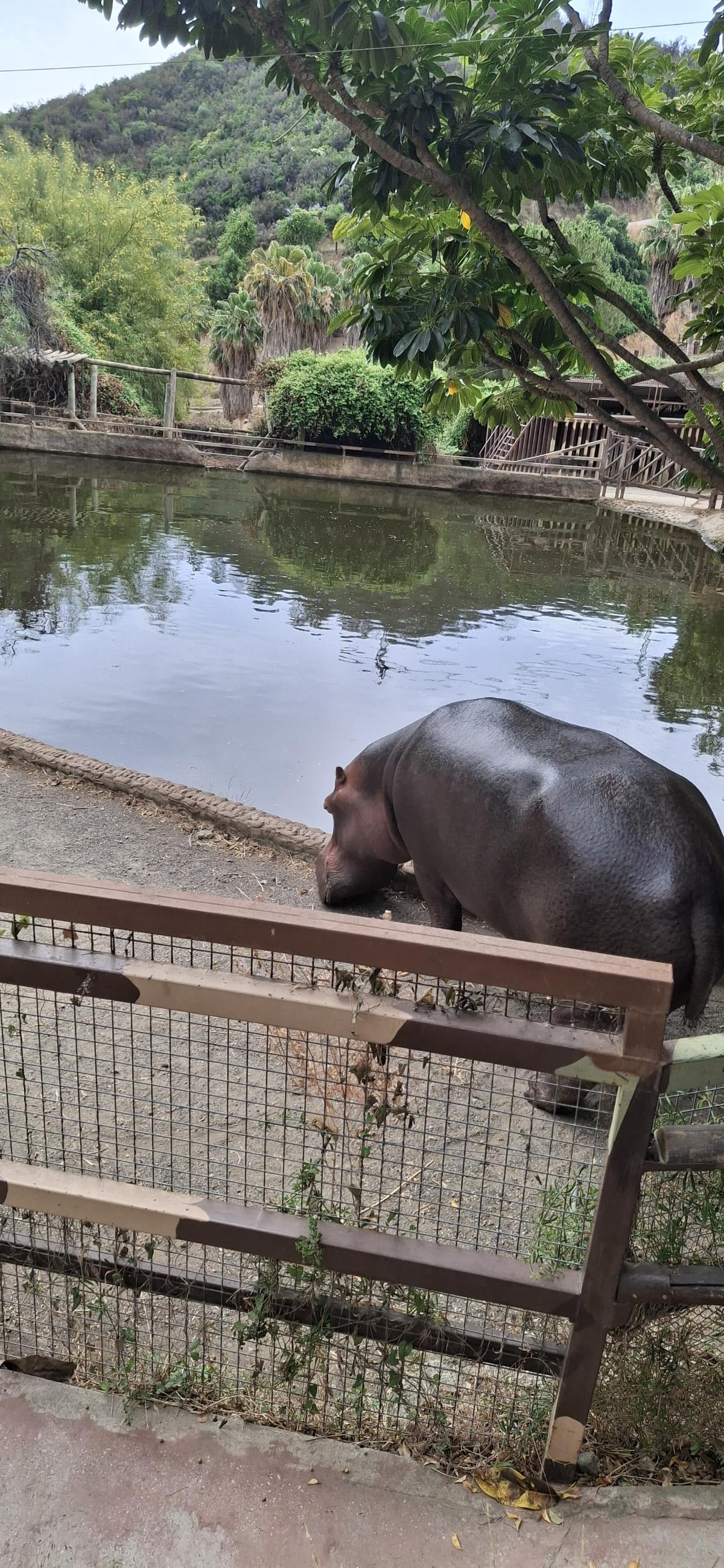 Zoológico de Málaga - foto 5