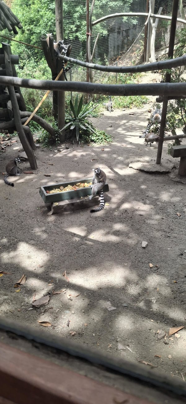 Zoológico de Málaga