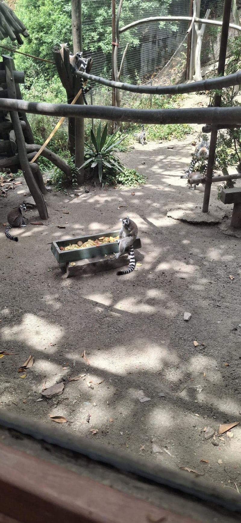 Zoológico de Málaga