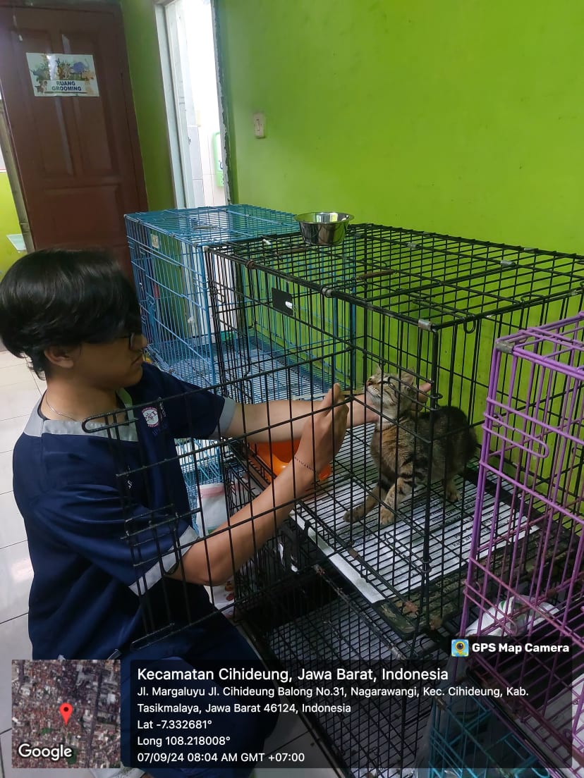 Klinik Hewan Tigrie Petshop - Image 2