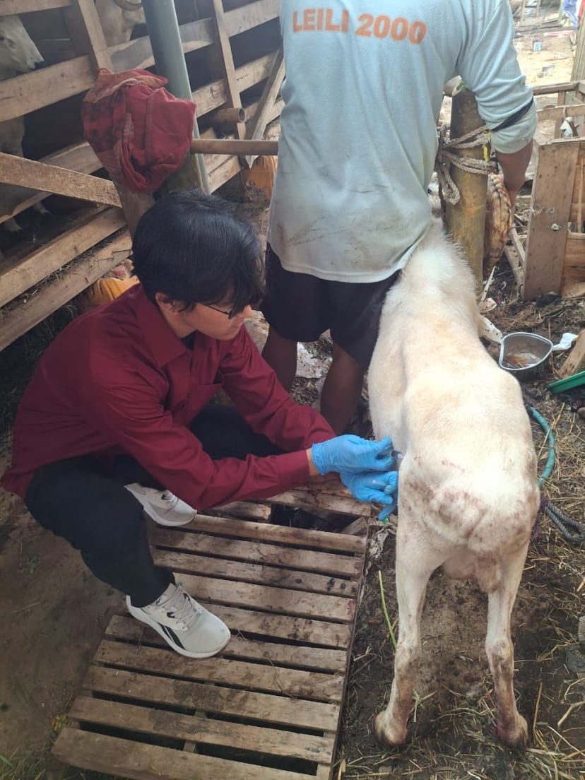 Dinas Ketahanan Pangan, Pertanian, dan Perikanan Tasikmalaya - Image 1