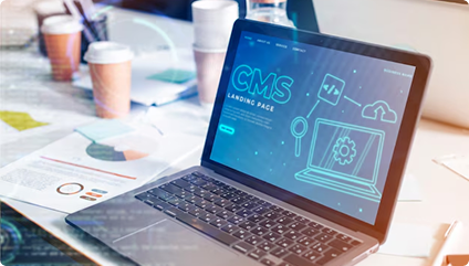 CMS Website Development
