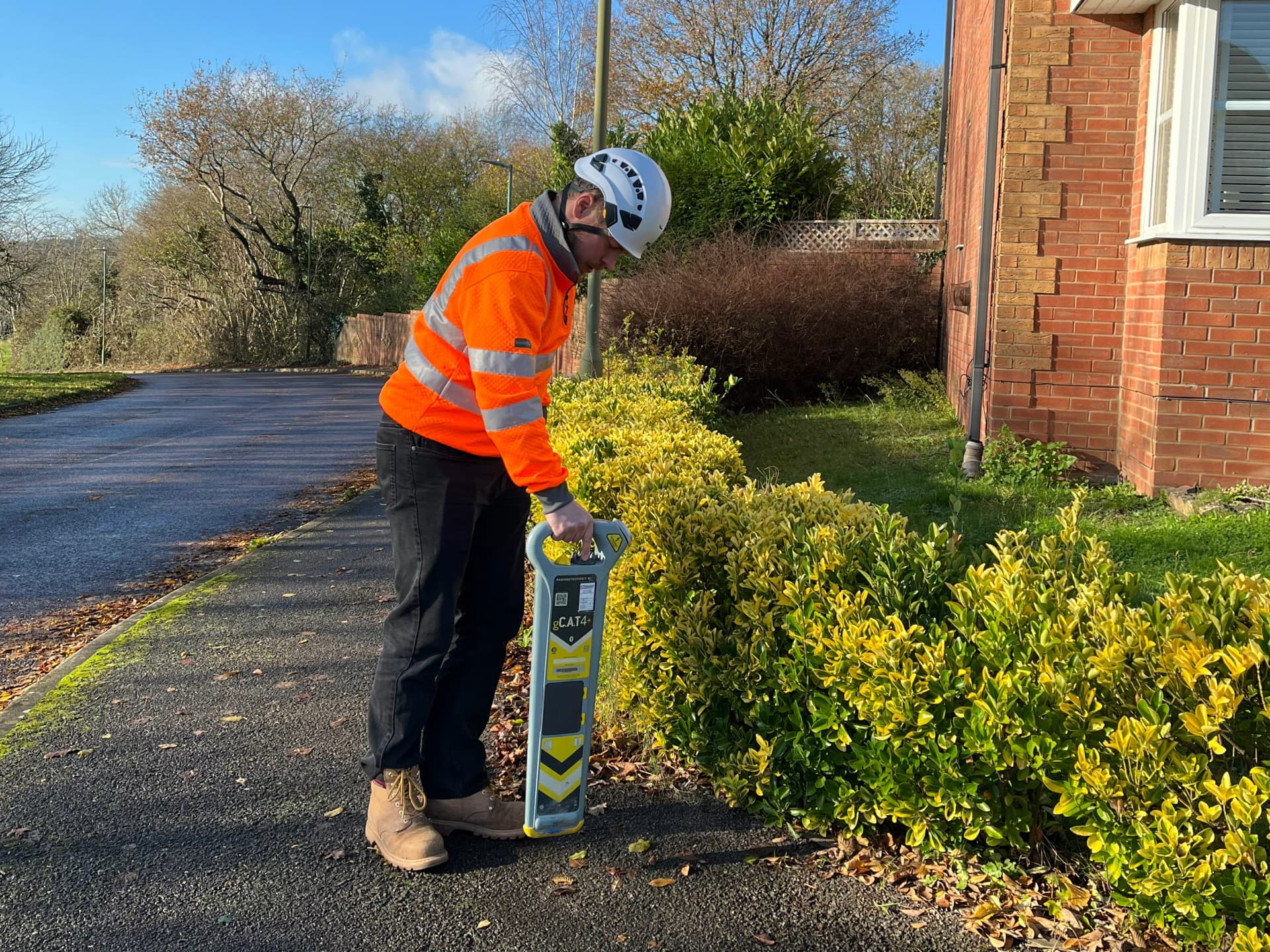 Utility survey mapping and detection