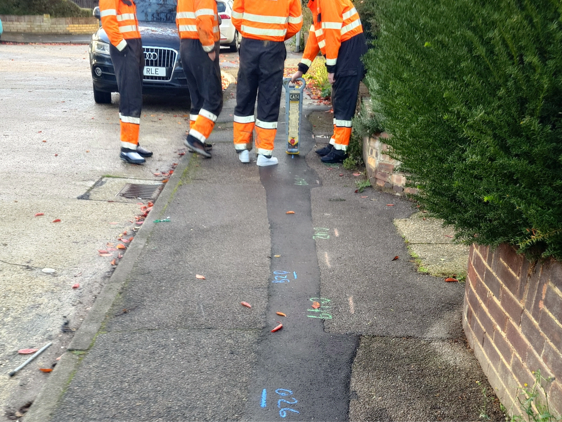 Overhead power line safety practical session