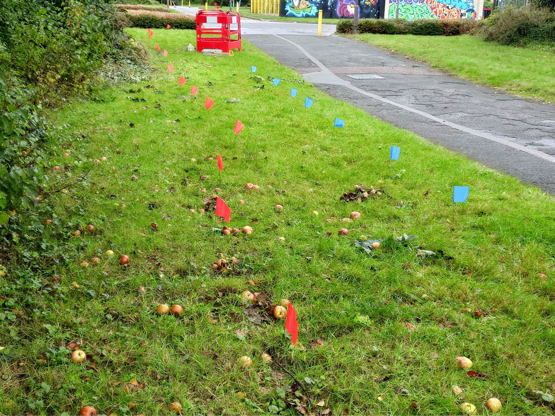 Cable avoidance training practical demonstration