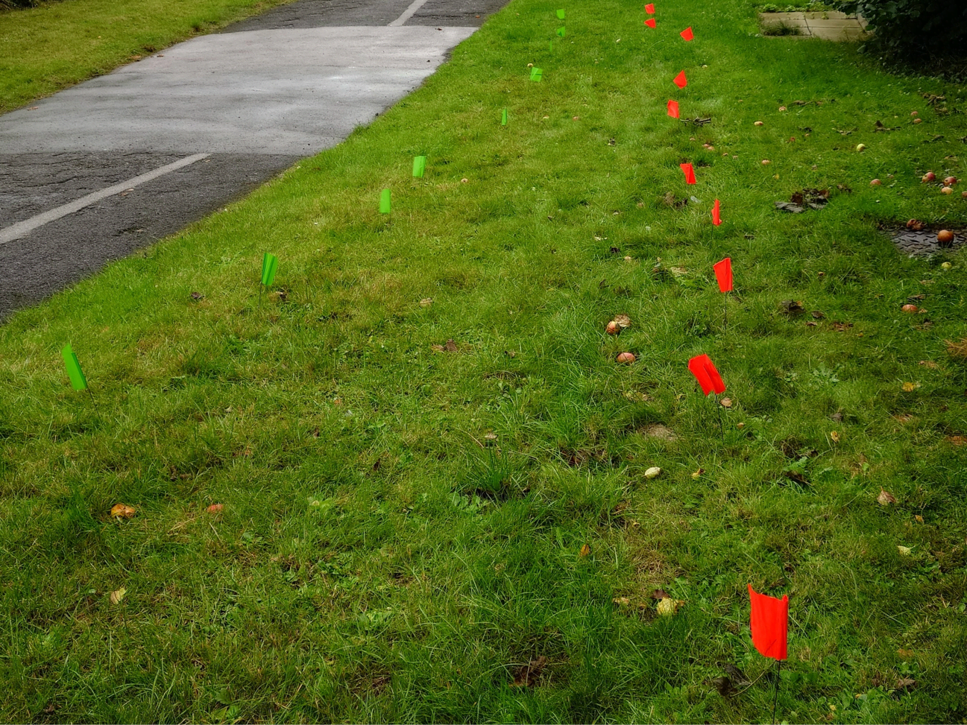 Safe excavation practice and guidance