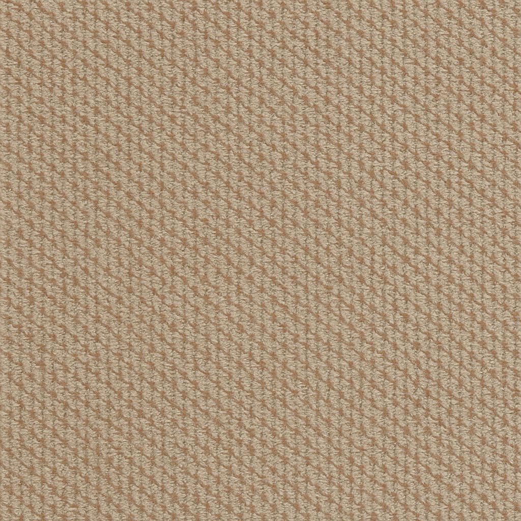 The same carpet looking clean and fresh after cleaning