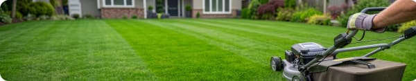 Lawn Mowing Brisbane